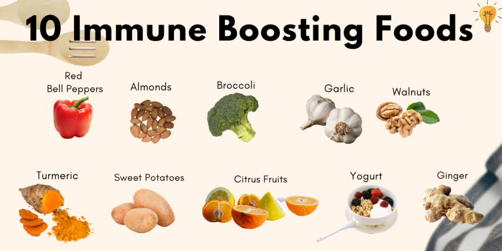 Daily Diet Plan for a Strong Immune System Daily Diet Plan for a Strong Immune System