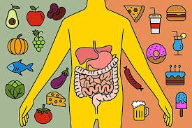Nutrition Tips for Better Digestion and Gut Health Nutrition Tips for Better Digestion and Gut Health