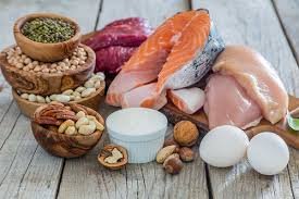 Best Protein Foods to Include in Your Daily Routine